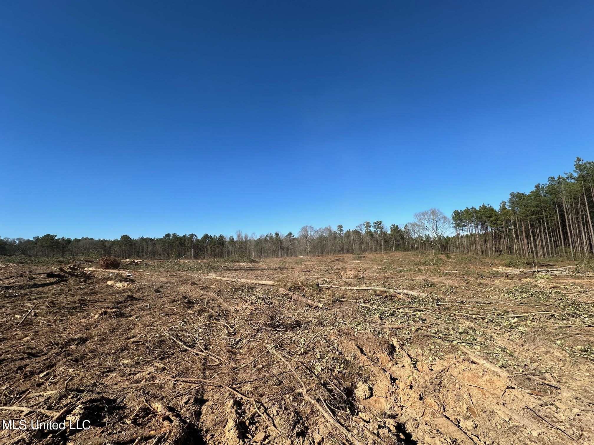 2 Decatur Stratton Road Decatur, MS 39327 - Photo 5 of 16 32