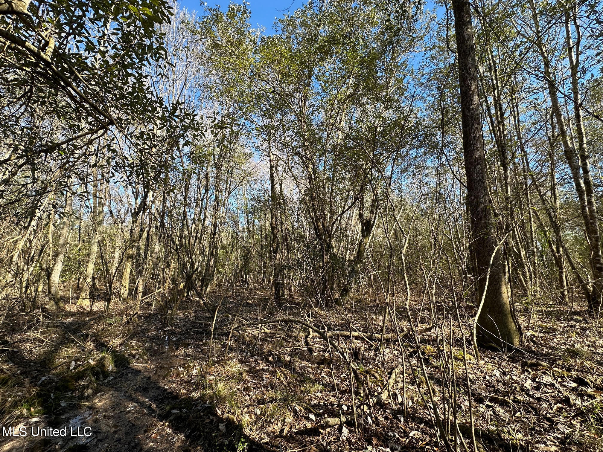 2 Decatur Stratton Road Decatur, MS 39327 - Photo 6 of 16 34