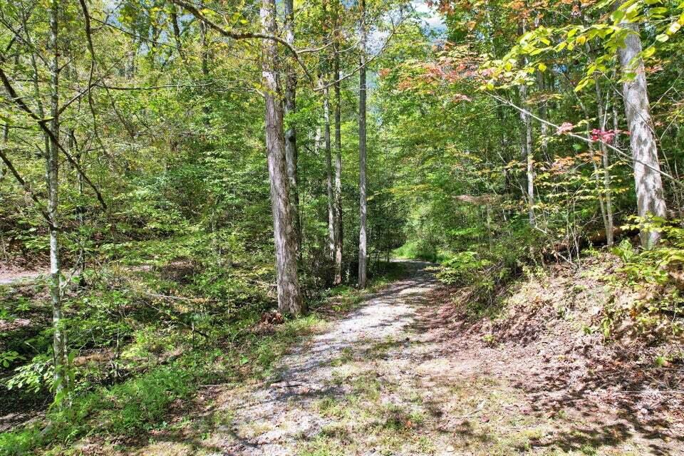 230 Big Towee Road Reliance, TN 37369 - Photo 23 of 32 Towee Rd 10