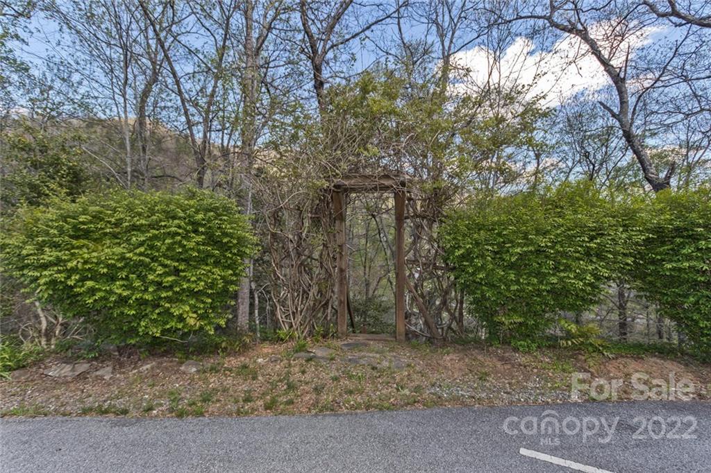 129 Moonlight Drive Sylva, NC 28779 - Photo 27 of 41 a backyard of a house with lots of green space