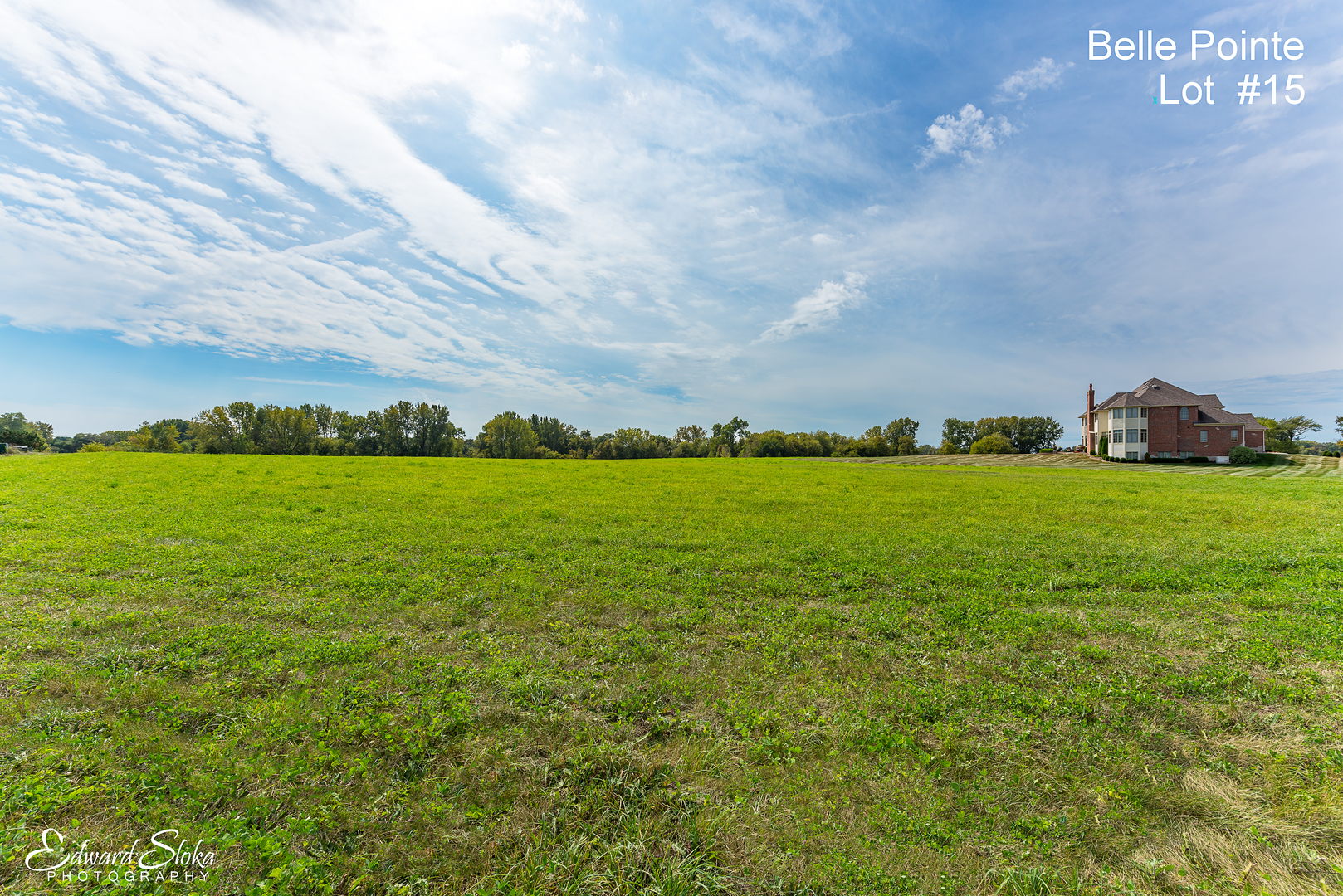 9513 Mels Way Union, IL 60180 - Photo 3 of 5 a view of yard with swimming pool and green space