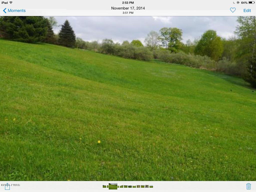 Griffith Road Tyler Hill, PA 18469 - Photo 7 of 15 ROLLING