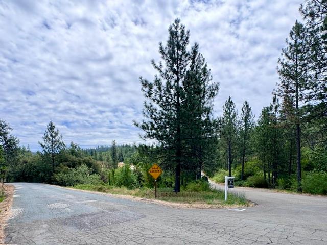 0 Grand View Way Colfax, CA 95713 - Photo 6 of 6