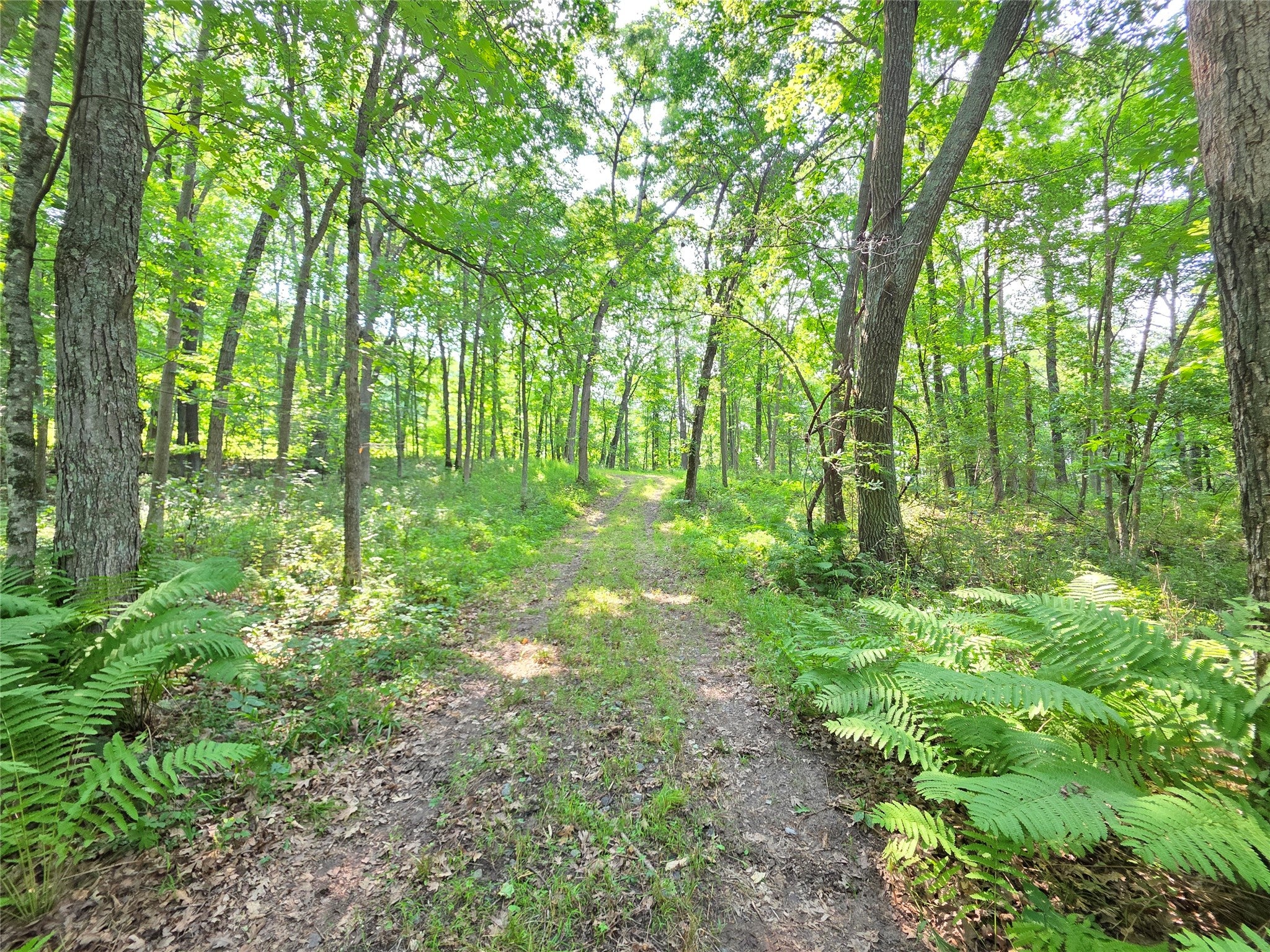 Lot 0 County Road Colfax, WI 54730 - Photo 21 of 25 Gallery Image 21