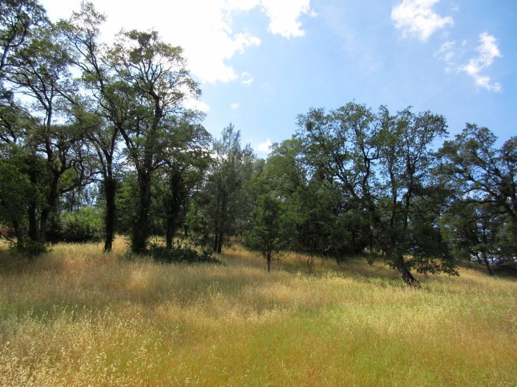 14.4-acres Oak Run Road Oak Run, CA 96069 - Photo 12 of 30 IMG_0762