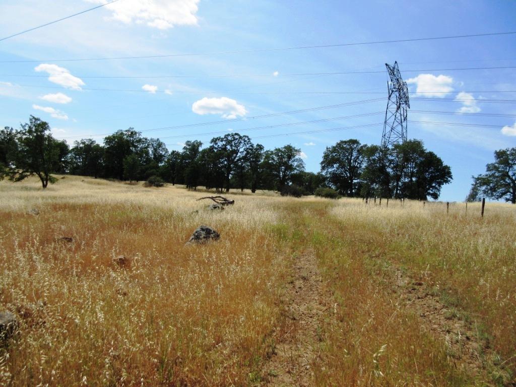 14.4-acres Oak Run Road Oak Run, CA 96069 - Photo 20 of 30 IMG_0774
