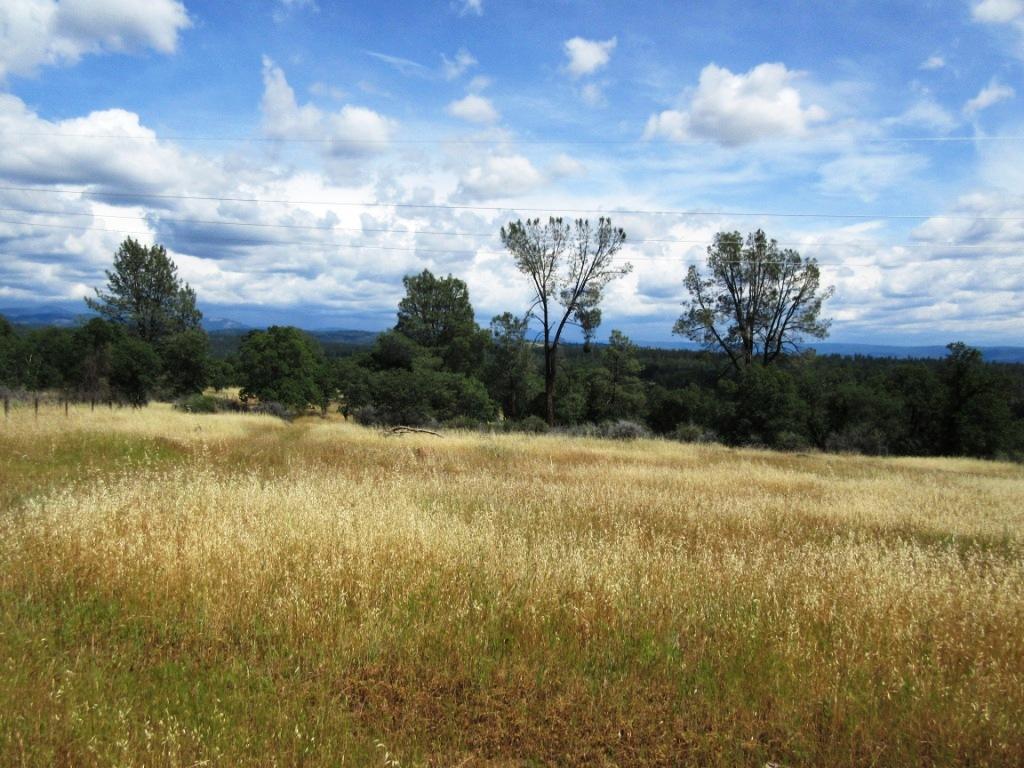 14.4-acres Oak Run Road Oak Run, CA 96069 - Photo 21 of 30 IMG_0775
