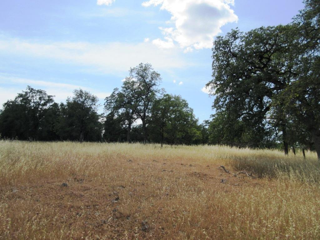 14.4-acres Oak Run Road Oak Run, CA 96069 - Photo 22 of 30 IMG_0776