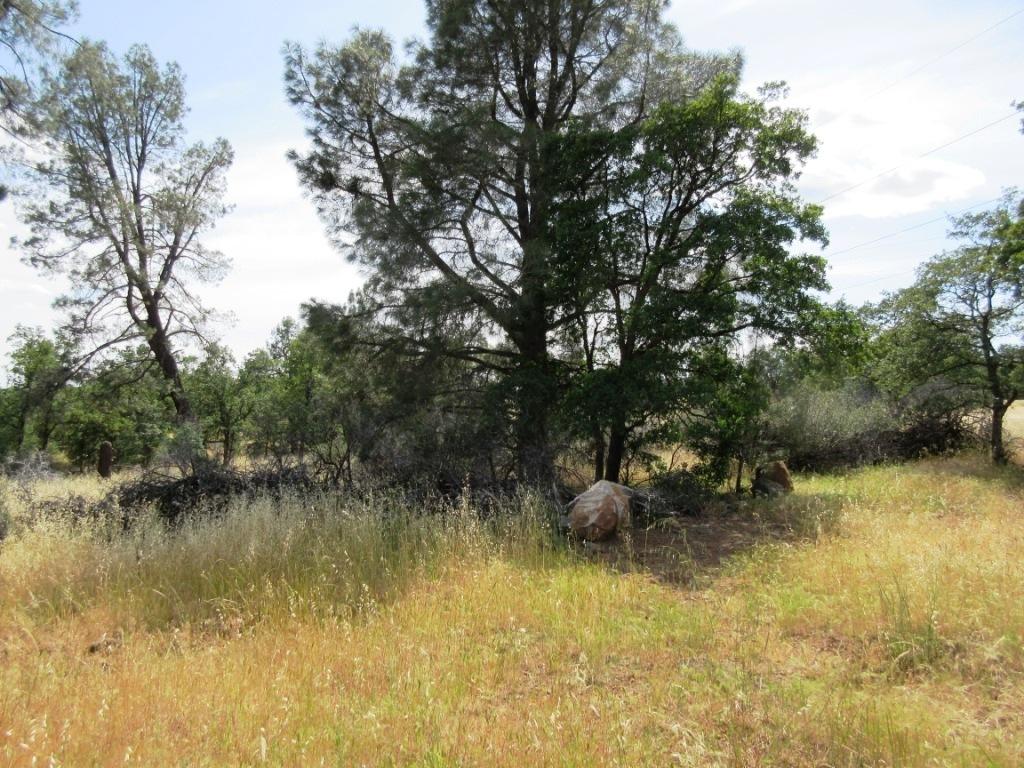 14.4-acres Oak Run Road Oak Run, CA 96069 - Photo 26 of 30 IMG_0783