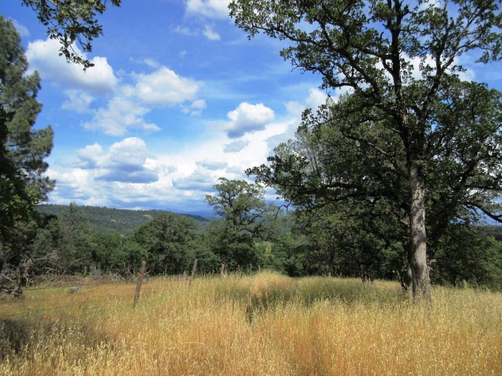 14.4-acres Oak Run Road Oak Run, CA 96069 - Photo 28 of 30 IMG_0786