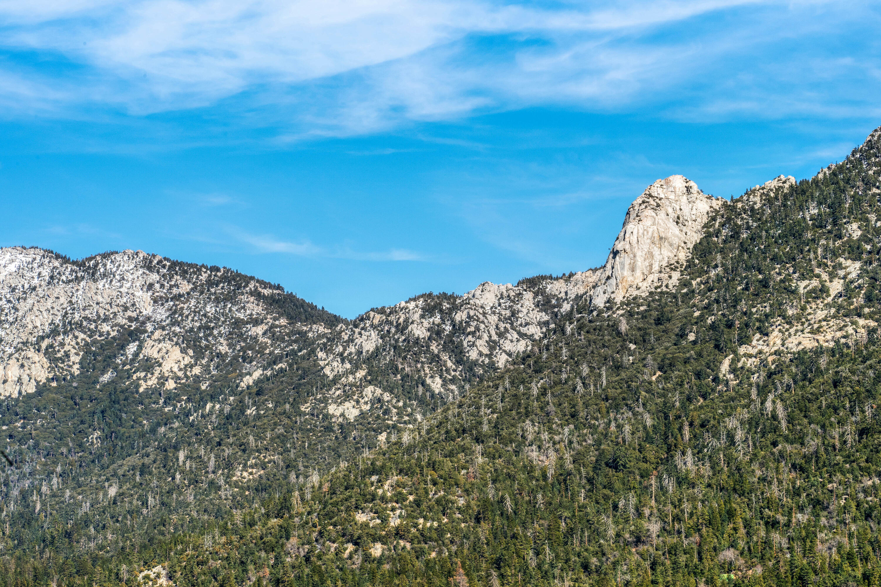 54685 Crest Drive Idyllwild, CA 92549 - Photo 42 of 50 a view of a large building with trees in the background