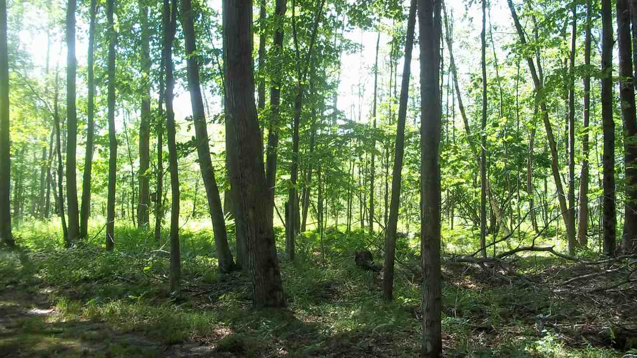 2020 Washington Road Omer, MI 48749 - Photo 4 of 27 1835960-3.JPG