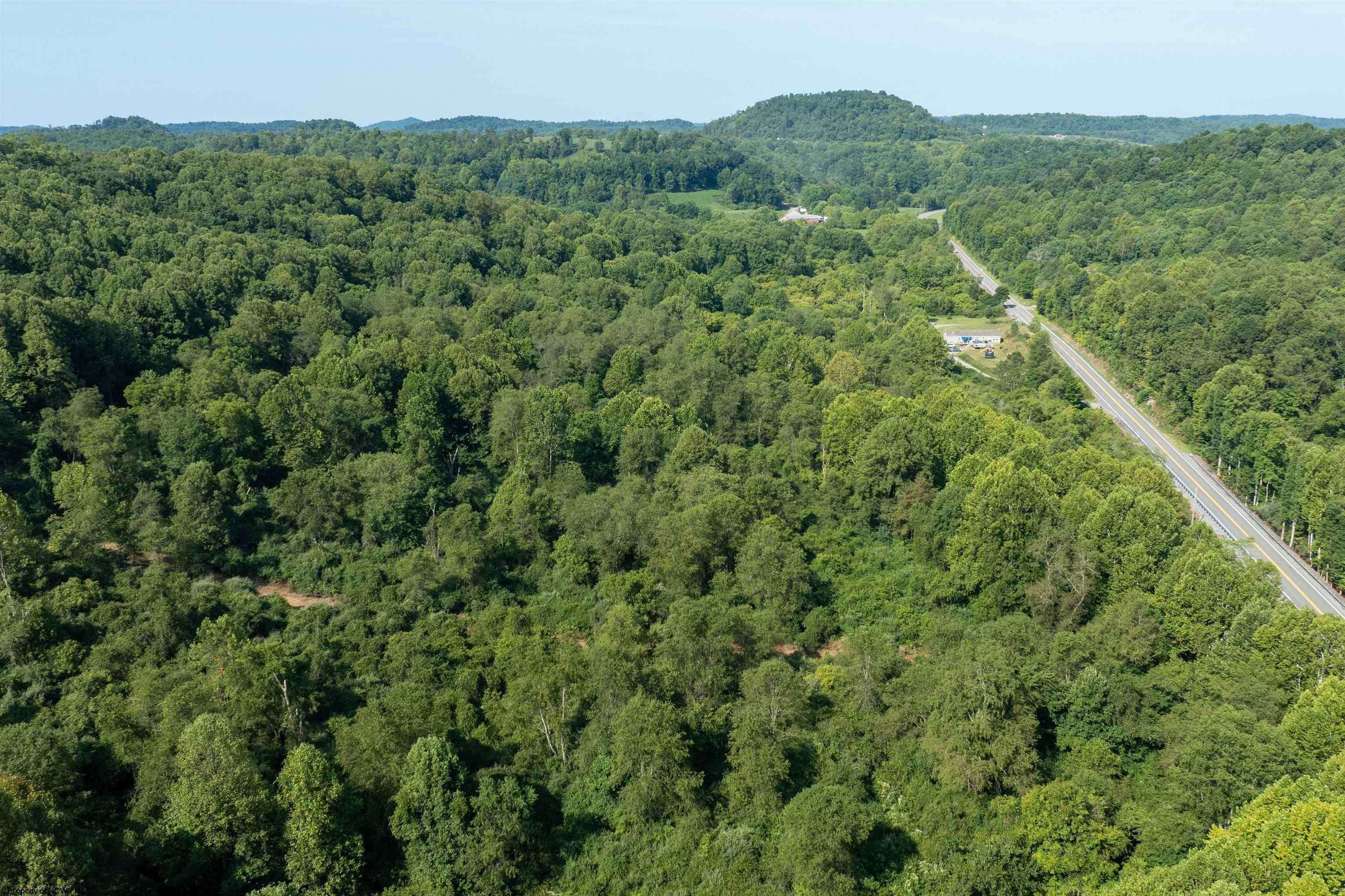 Tbd Elk Creek Road Philippi, WV 26416 - Photo 19 of 20 Gallery Image 19