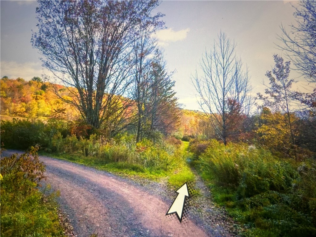 510 Gundelach Road Andes, NY 13731 - Photo 3 of 7