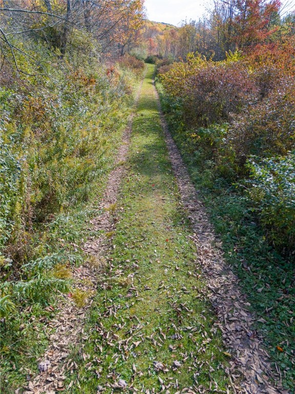 510 Gundelach Road Andes, NY 13731 - Photo 4 of 7