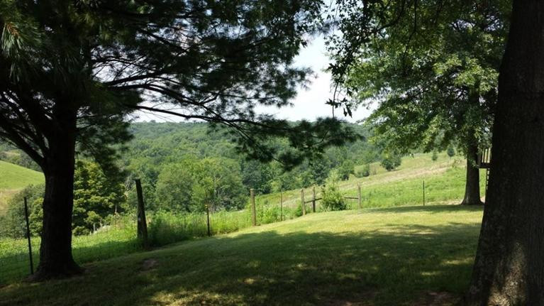701 Humes Ridge Road Williamstown, KY 41097 - Photo 15 of 26 Gallery Image 15