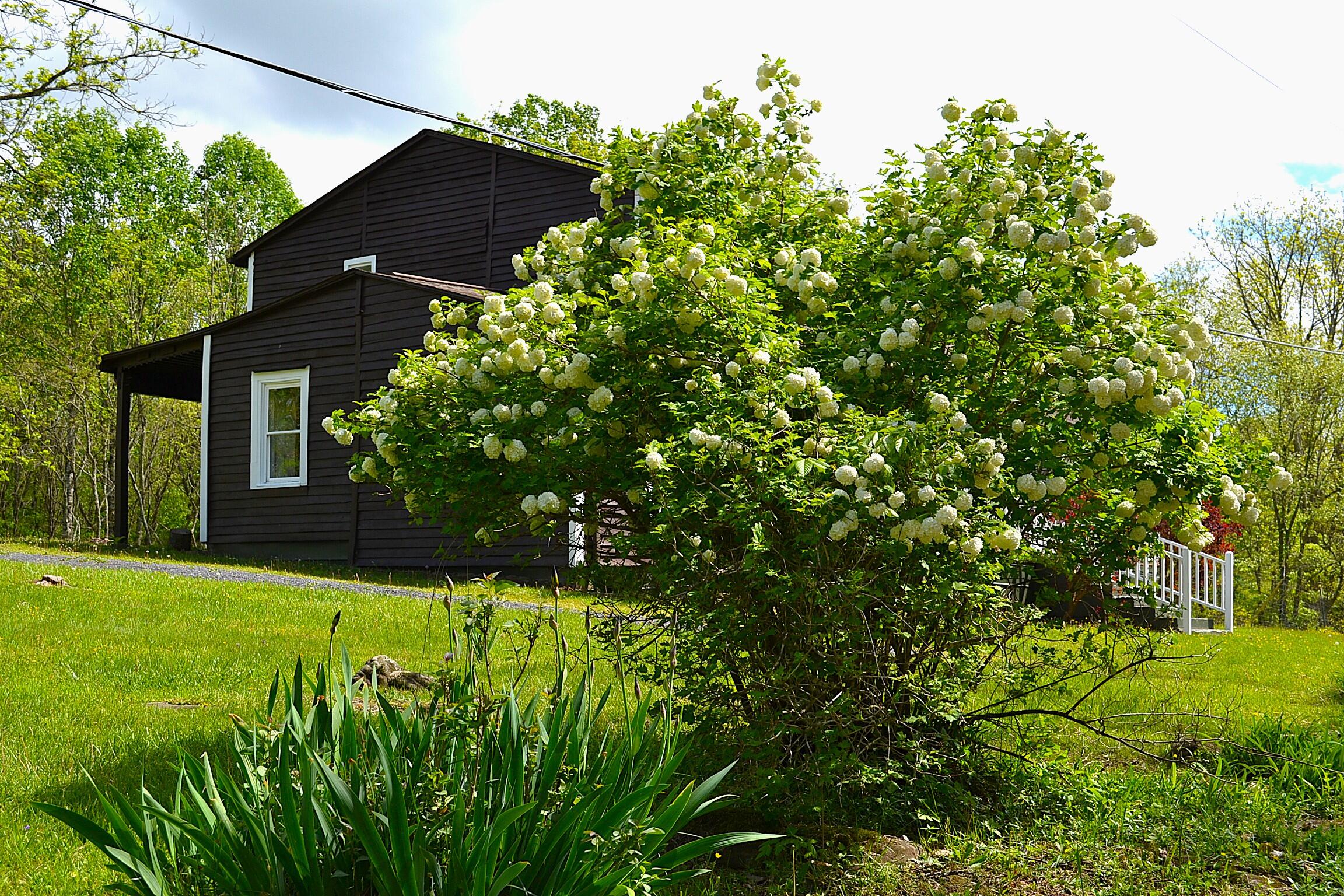 4250 Julia Road Renick, WV 24966 - Photo 15 of 64 Gallery Image 15