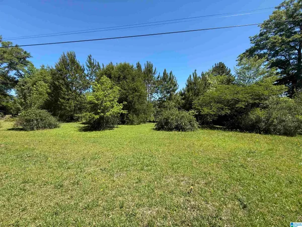 $14,000 | 0 County Road 62, Kellyton, AL 35089