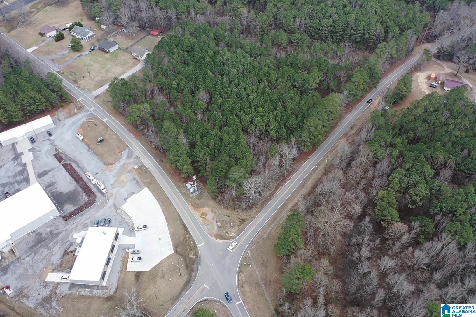 1689 Arkadelphia Road, Unit LOT 1 Warrior, AL 35180 - Photo 8 of 12