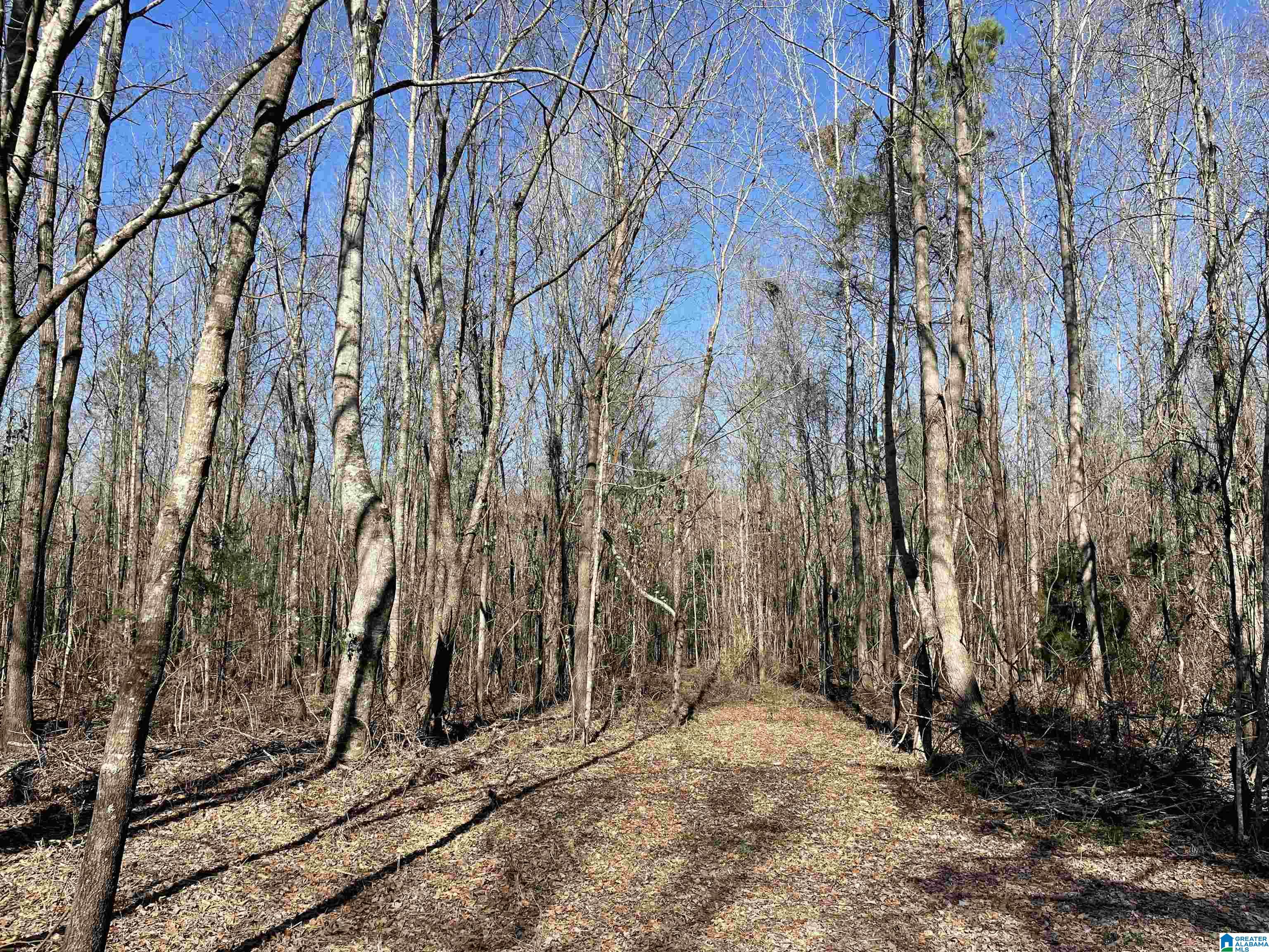 123 County Road, Unit 1 Marbury, AL 36051 - Photo 6 of 9