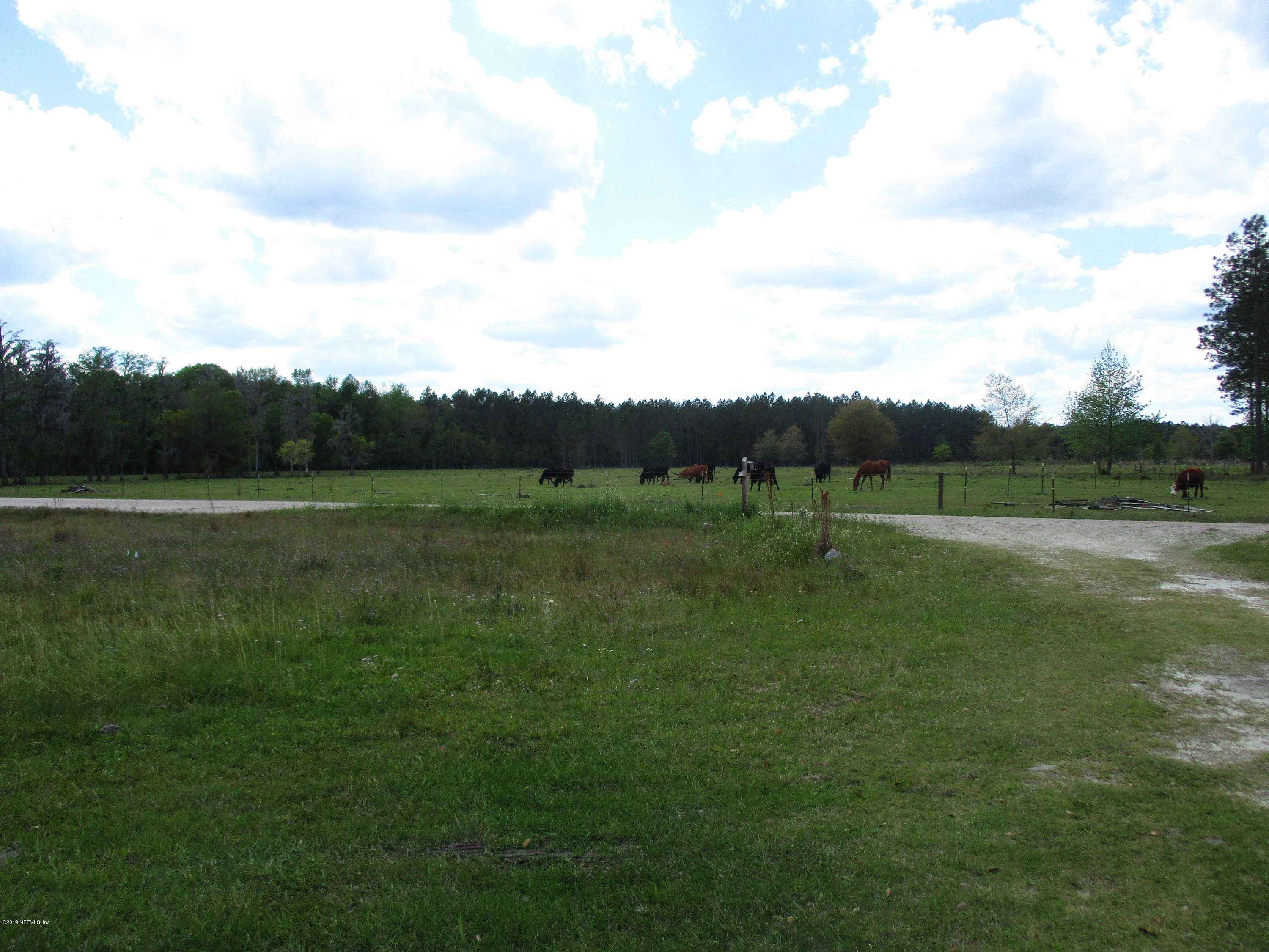45549 Zidell Road Callahan, FL 32011 - Photo 3 of 41 a view of a grassy field with trees