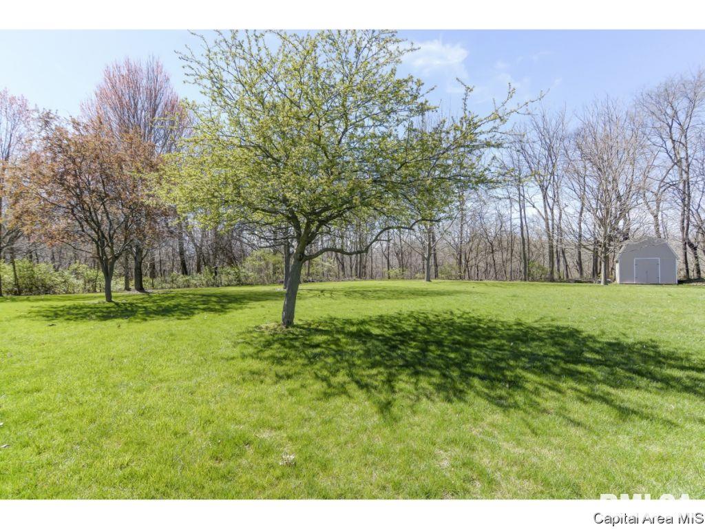 24550 Brookwood Hills Road Athens, IL 62613 - Photo 30 of 31 Gallery Image 30