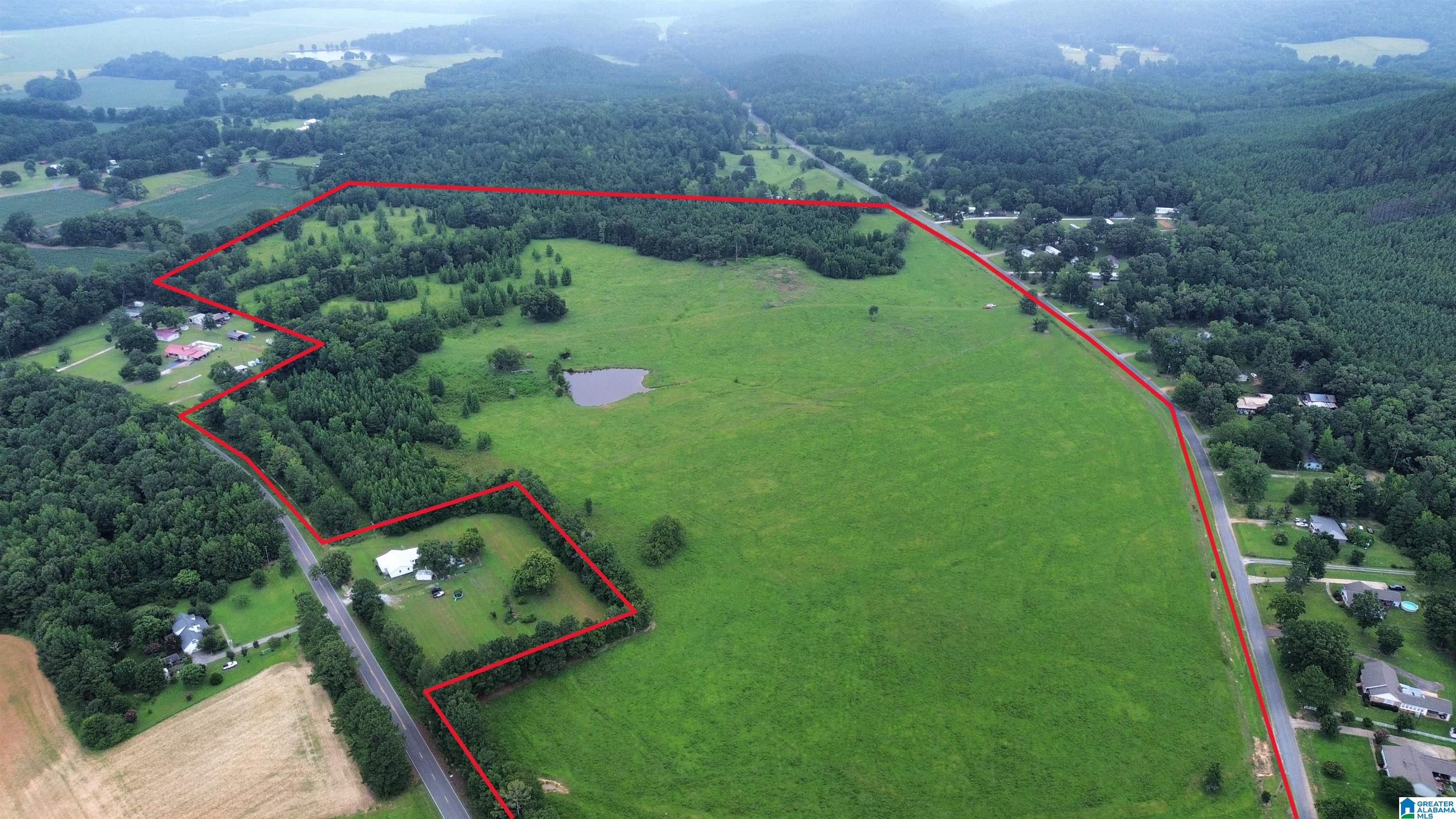 0 Risers Mill Road Alpine, AL 35014 - Photo 4 of 25