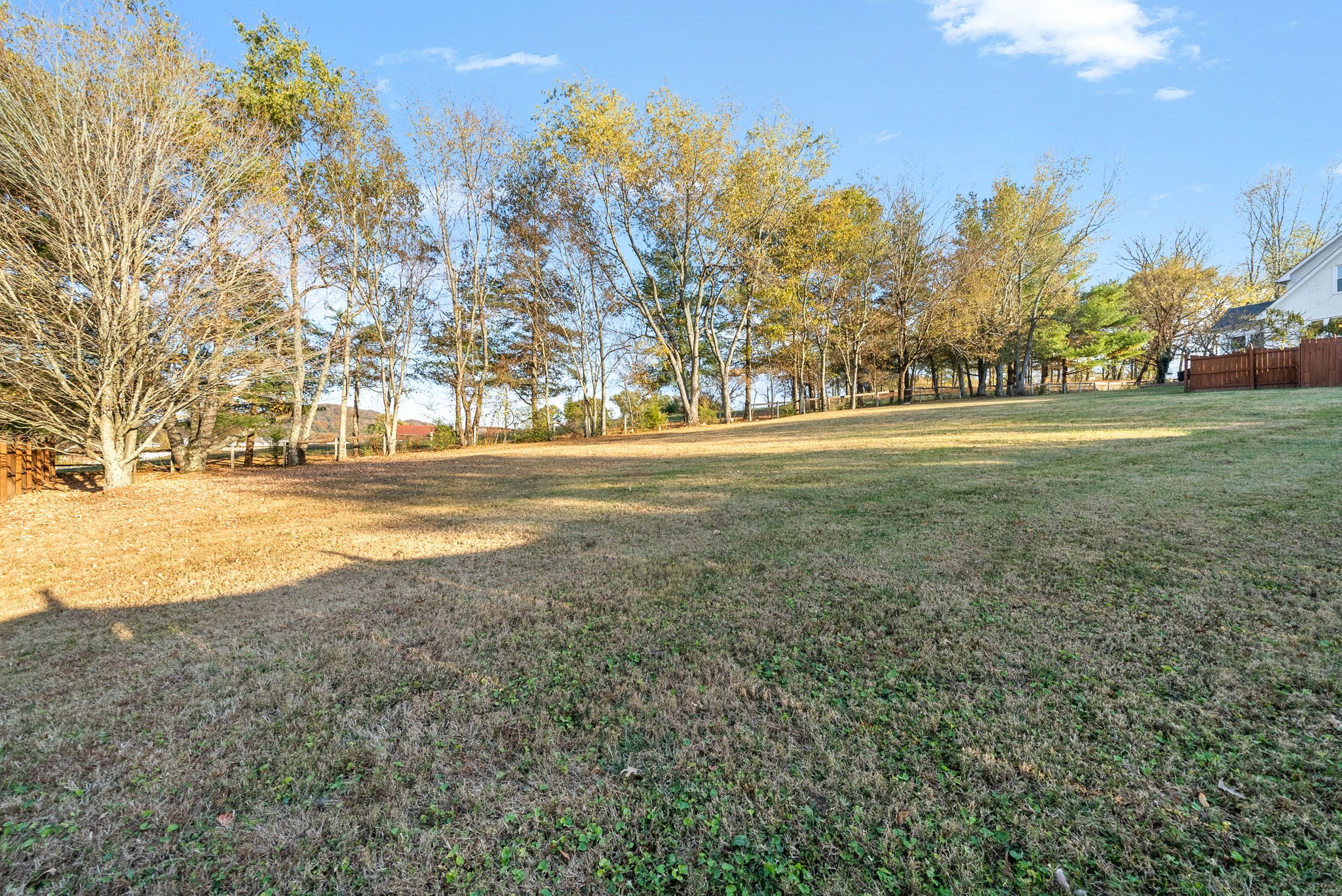 1904 Springcroft Drive Franklin, TN 37067 - Photo 25 of 30 a view of yard with trees
