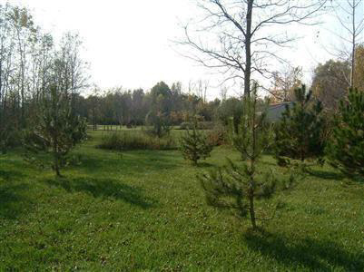 9400 Washburn Road Goodrich, MI 48438 - Photo 6 of 6 20303178-5.JPG