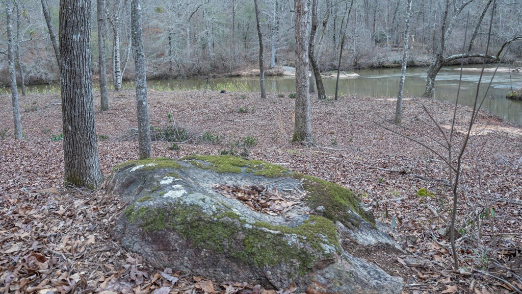 0 Baker Britt Road Jackson, GA 30233 - Photo 13 of 33