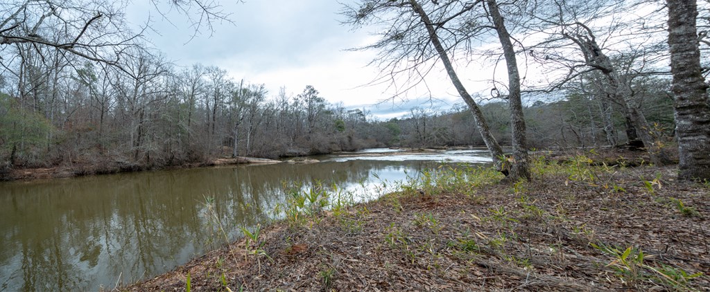 0 Baker Britt Road Jackson, GA 30233 - Photo 14 of 33