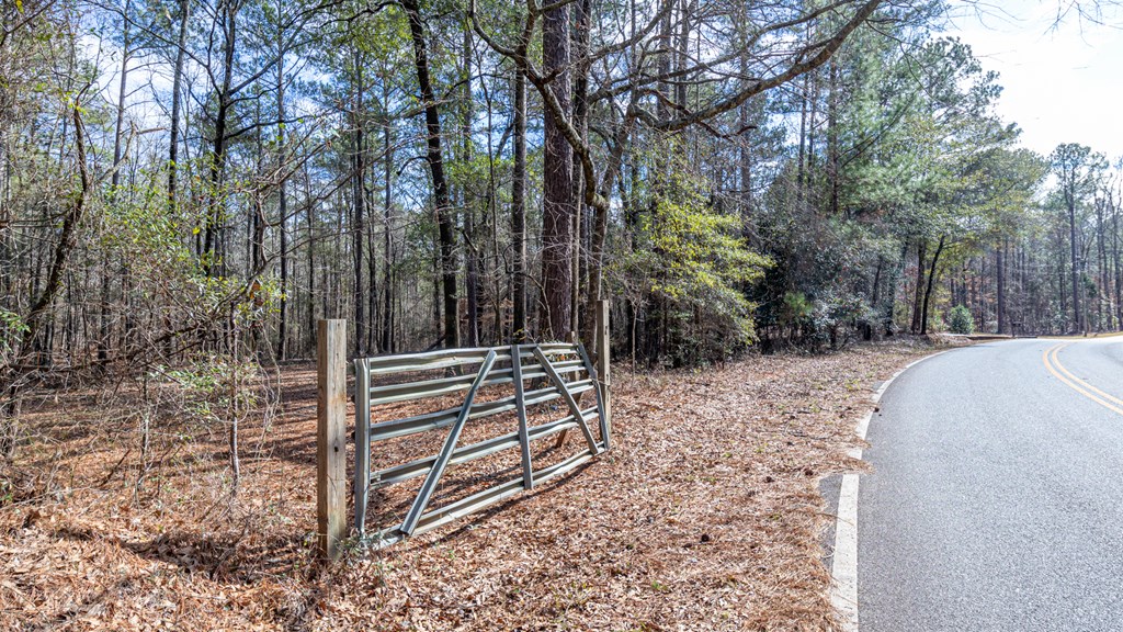 0 Baker Britt Road Jackson, GA 30233 - Photo 19 of 33