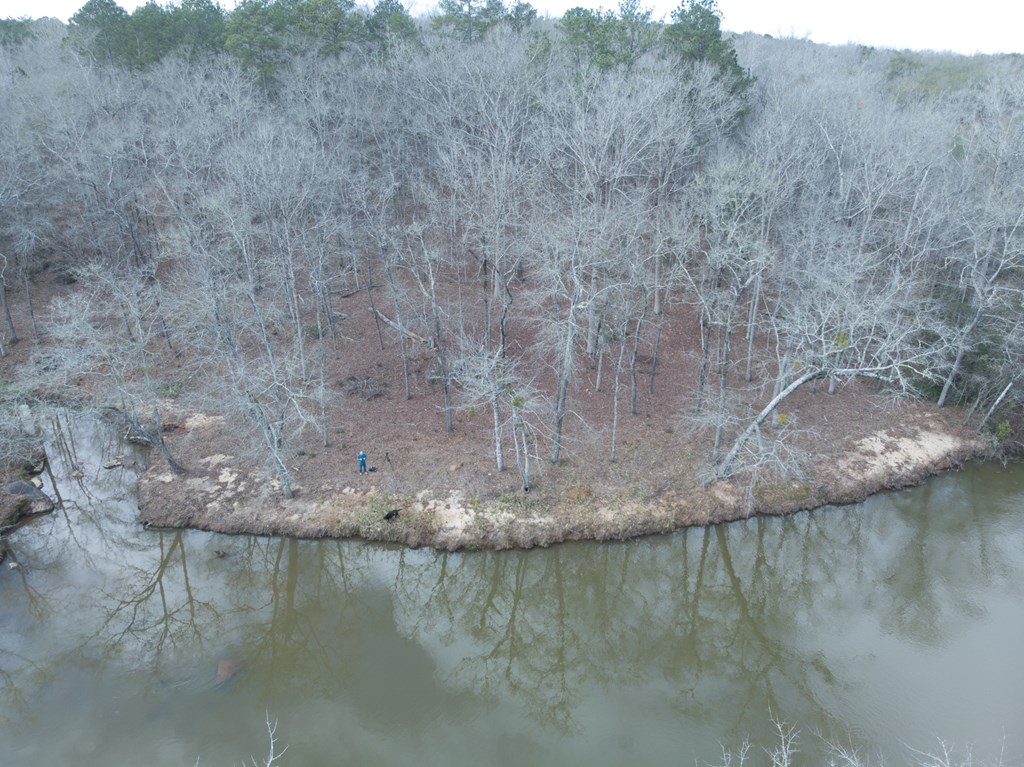 0 Baker Britt Road Jackson, GA 30233 - Photo 29 of 33