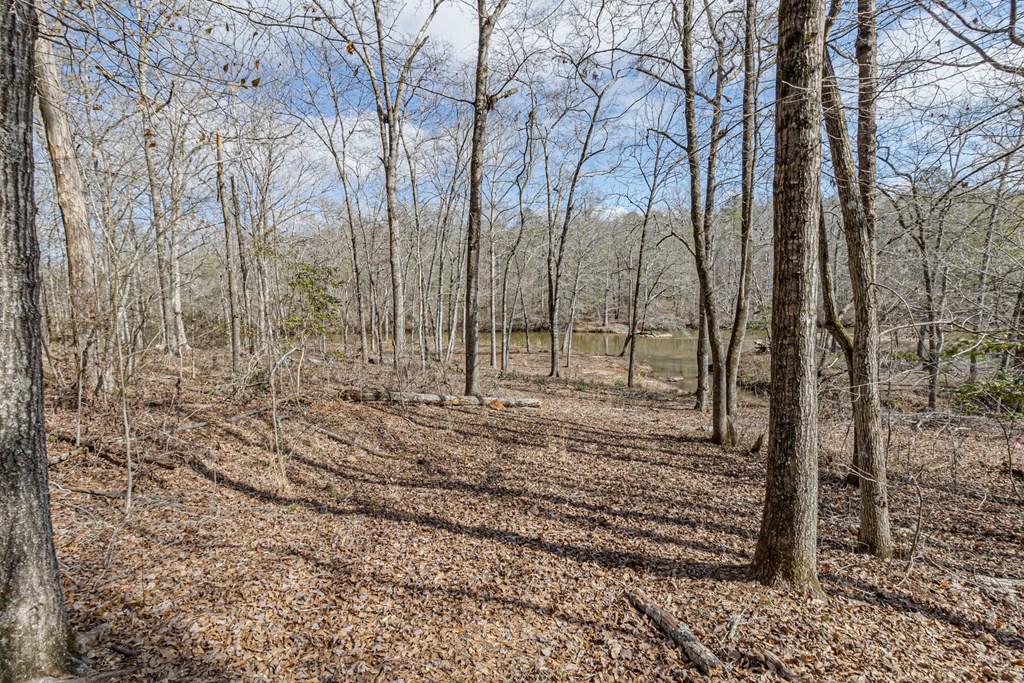 0 Baker Britt Road Jackson, GA 30233 - Photo 5 of 33