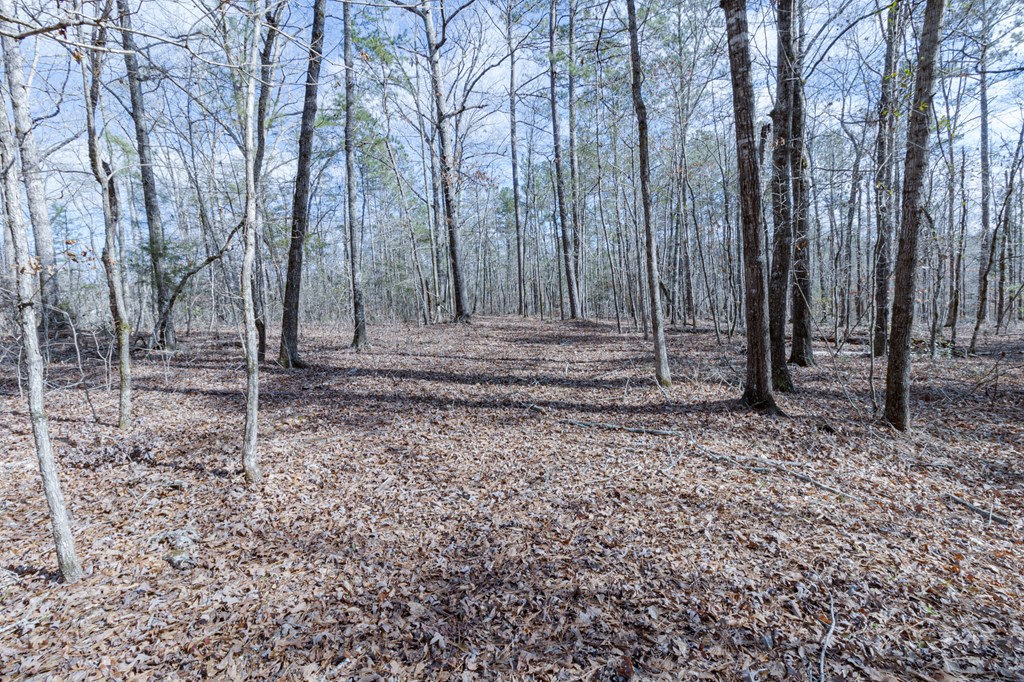 0 Baker Britt Road Jackson, GA 30233 - Photo 7 of 33