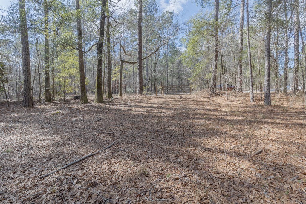 0 Baker Britt Road Jackson, GA 30233 - Photo 8 of 33