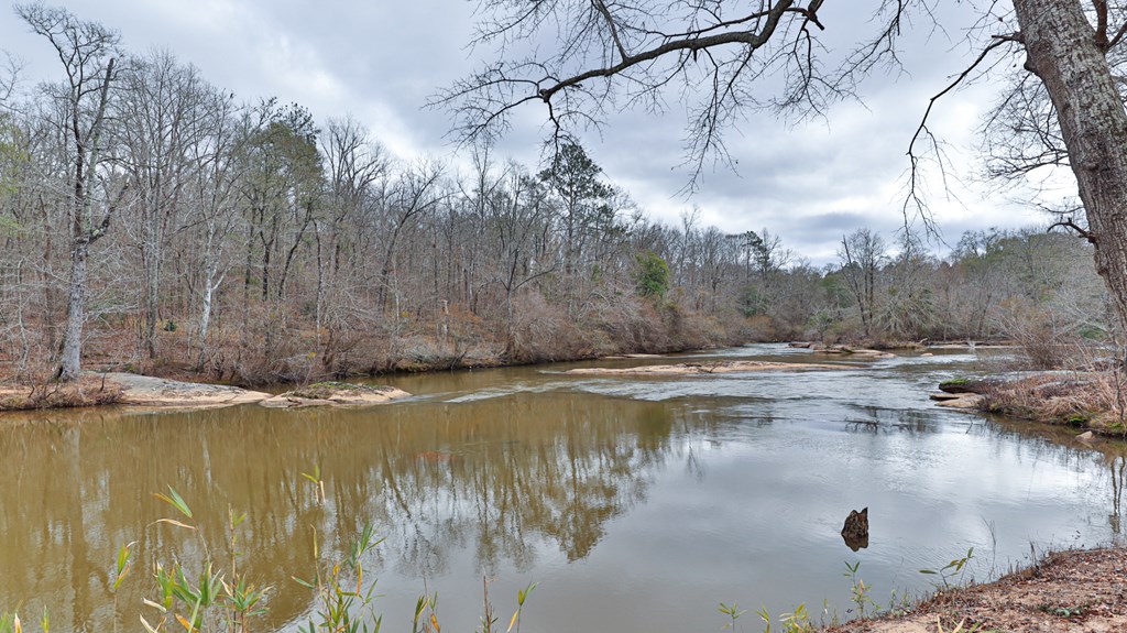 0 Baker Britt Road Jackson, GA 30233 - Photo 10 of 33