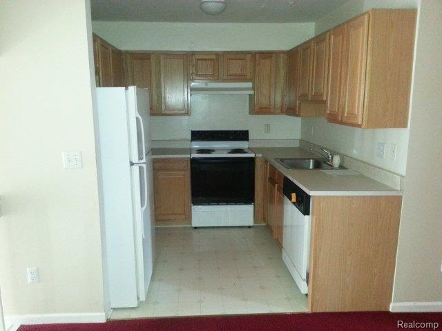 4254 Schaefer Road Dearborn, MI 48126 - Photo 4 of 10 20130522_170153.jpg
