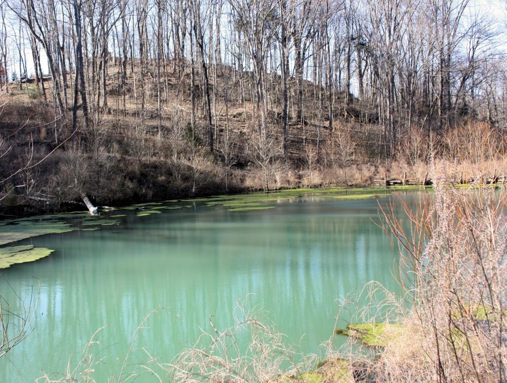 2279 Baptist Church Road Culleoka, TN 38451 - Photo 50 of 67 Gallery Image 50
