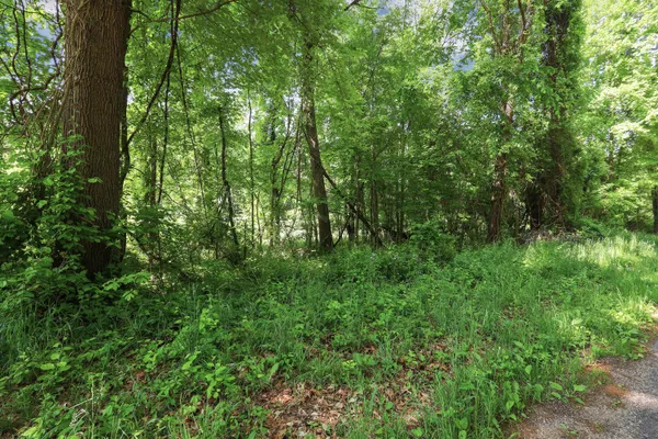 $125,000 | Vl Crooked Creek Road, Sturgis, MI 49091