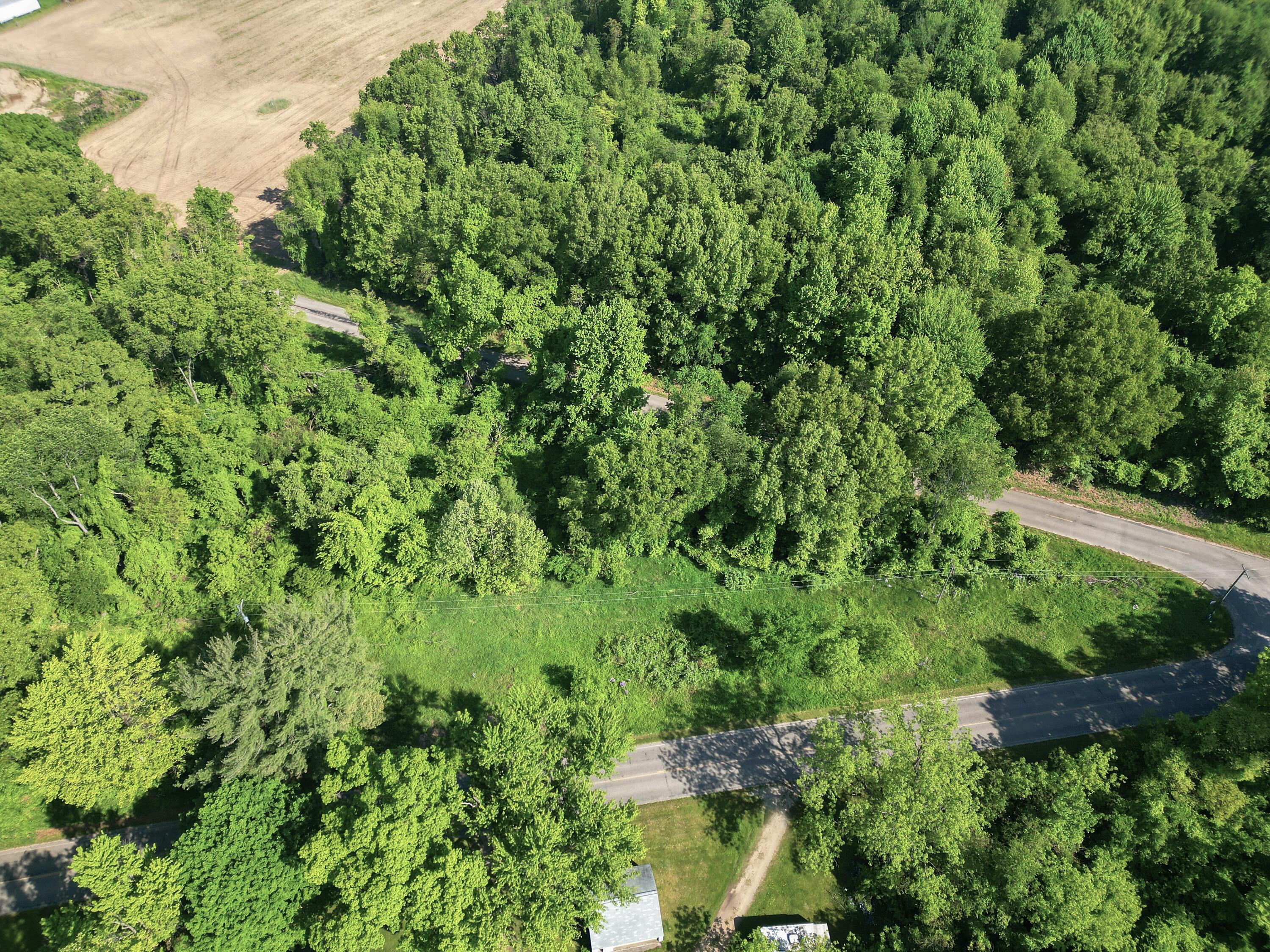 Vl Crooked Creek Road Sturgis, MI 49091 - Photo 8 of 19 DJI_0887