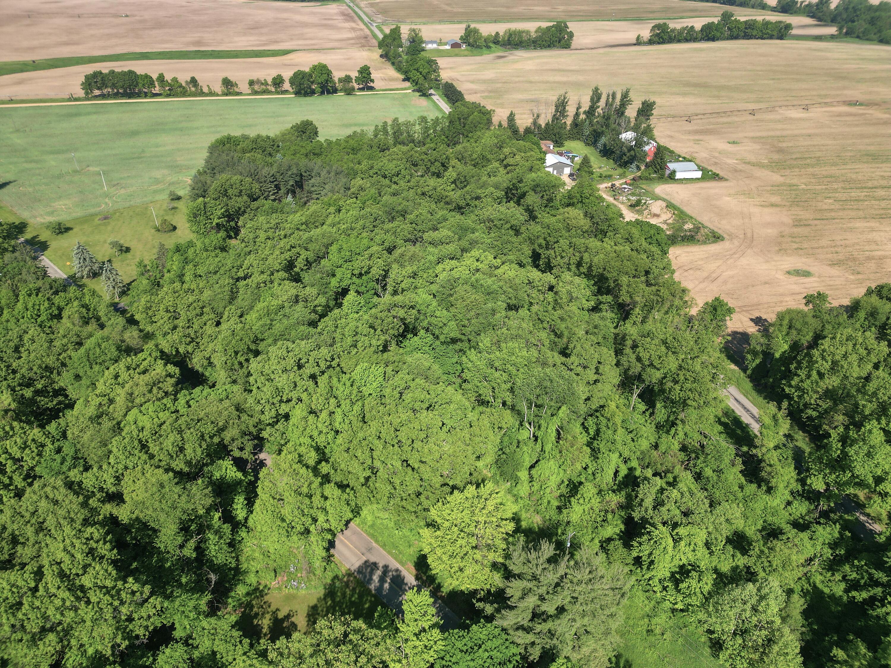 Vl Crooked Creek Road Sturgis, MI 49091 - Photo 9 of 19 DJI_0889