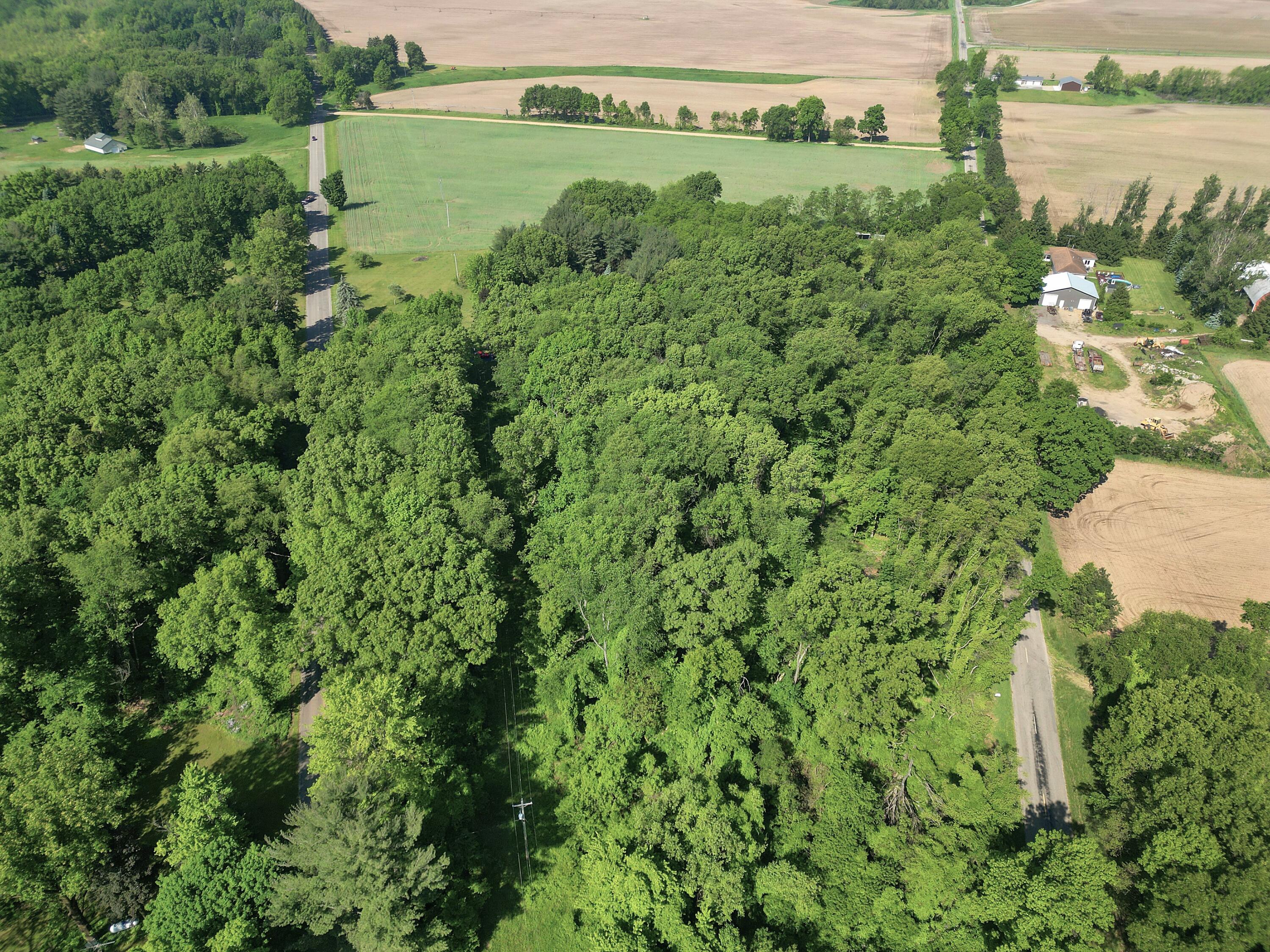 Vl Crooked Creek Road Sturgis, MI 49091 - Photo 10 of 19 DJI_0890