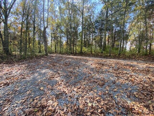 697 Galbraith Road Brooksville, KY 41004 - Photo 1 of 4