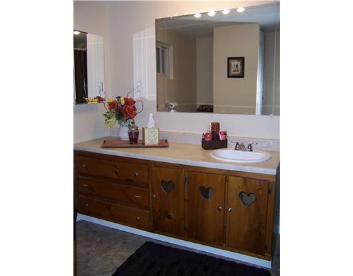 145 Morgan Hill Road Morgan, PA 15064 - Photo 10 of 10 Full Bath. Large Bath with built-ins.
