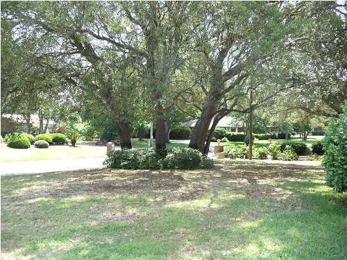 199 Country Club Road Shalimar, FL 32579 - Photo 4 of 21 a view of a yard with plants and a large tree