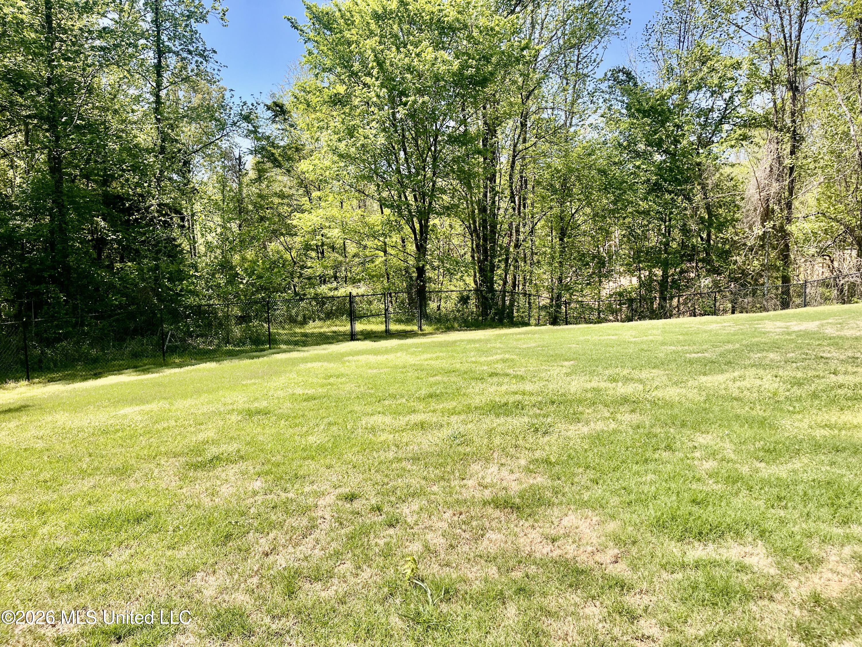 9545 Green River Road Lake Cormorant, MS 38641 - Photo 48 of 55 IMG_9010