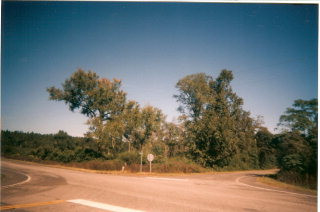 Parcel D Parcel D John Nunn Road Wagener, SC 29164 - Photo 1 of 1