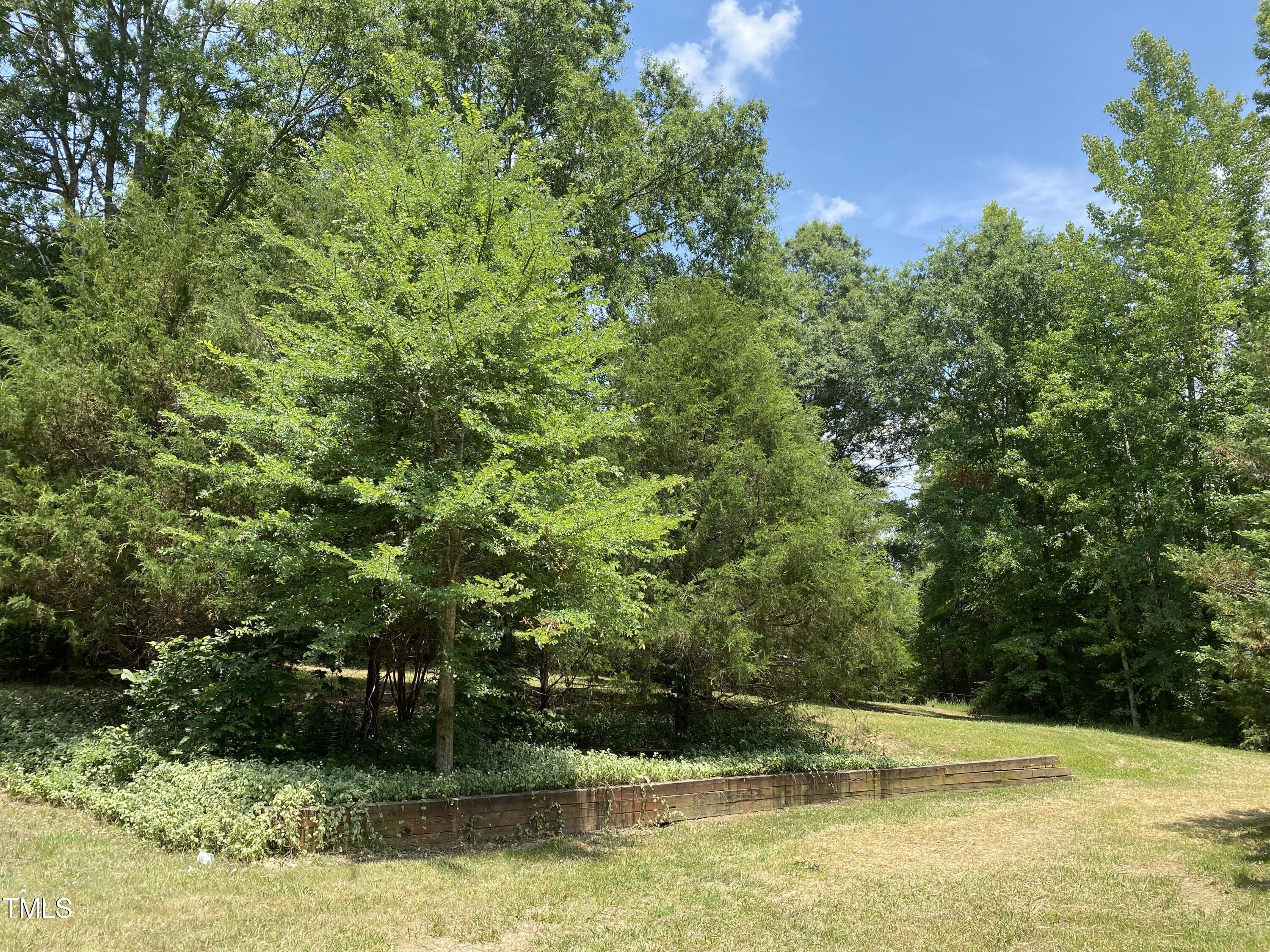 173 Megan Run Roxboro, NC 27574 - Photo 3 of 24 a view of a swimming pool and a yard