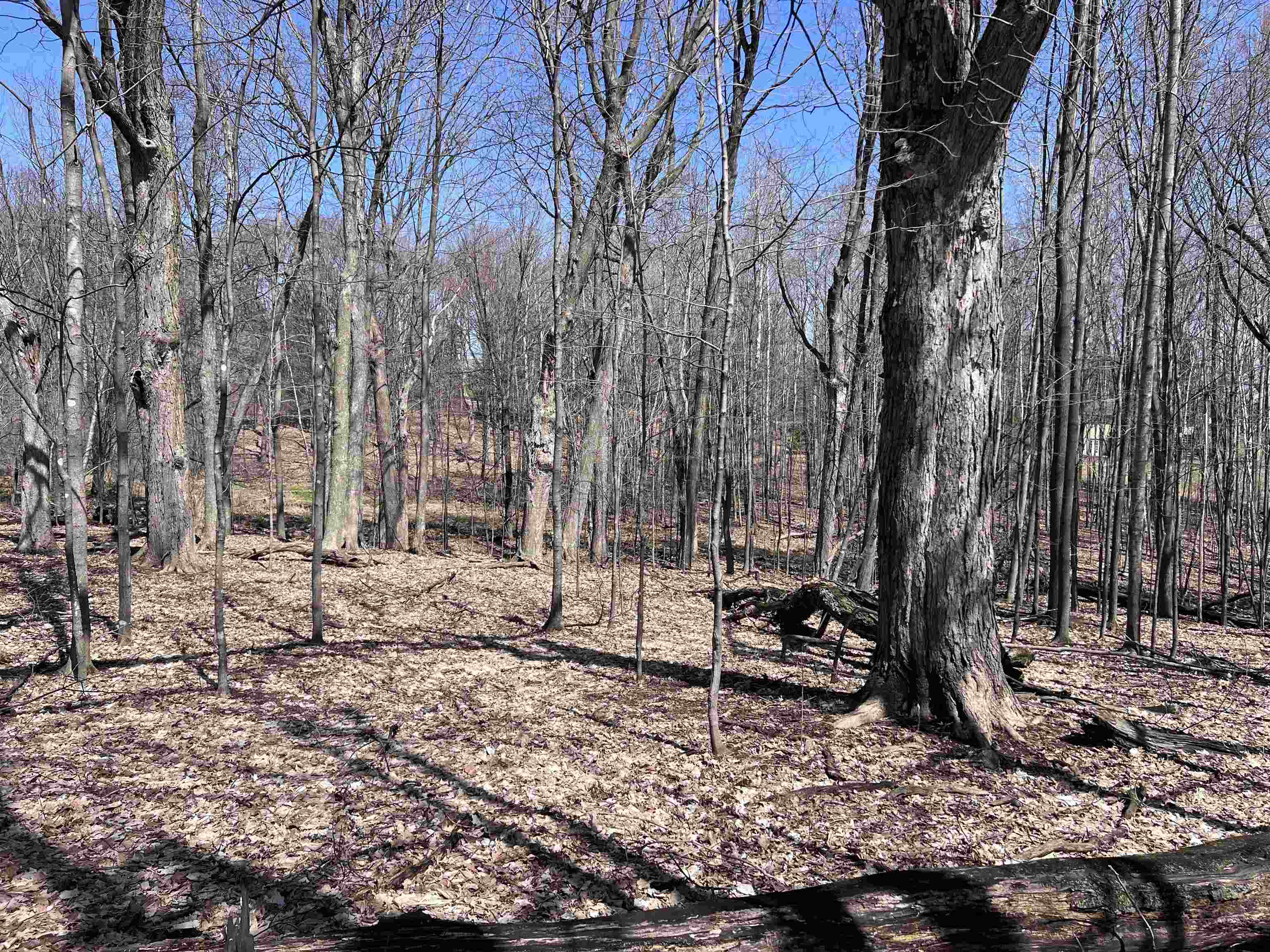 Canyon Road Wausau, WI 54403 - Photo 8 of 26